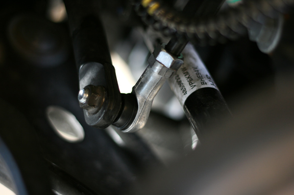 423 R56 5 IMG_6646.jpg